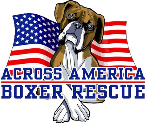 Adopt a Furry Friend: Across America Boxer Rescue